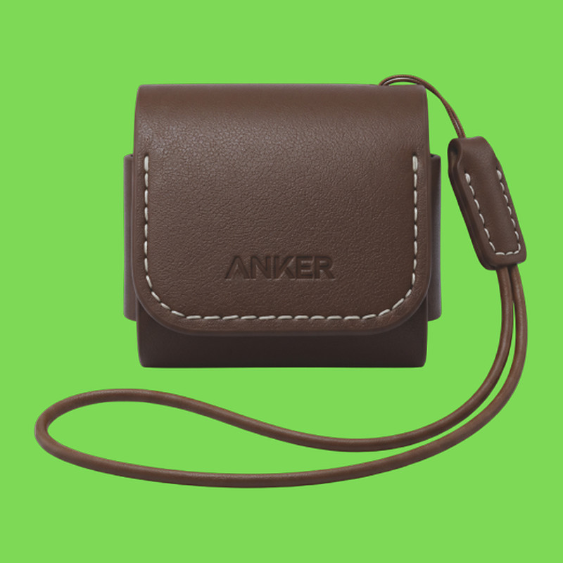 Anker soundcore Earbuds Reiseetui, Braun